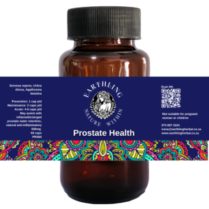 Prostate