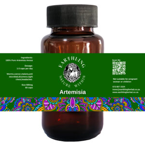 Artemesia