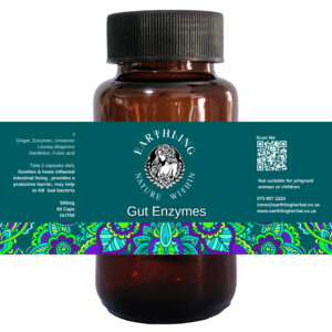 Gut Enzymes