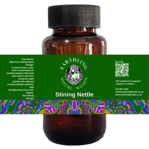 Stinging Nettle