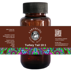 Turkey Tail Extract